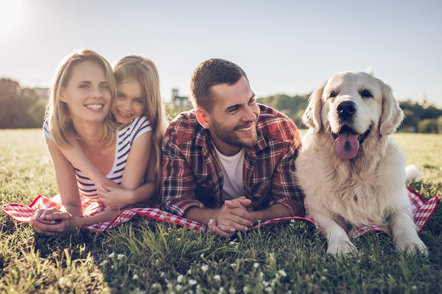 Personal Insurance - Happy Family Portrait with Family Dog Lying Down in a Field on a Sunny Day